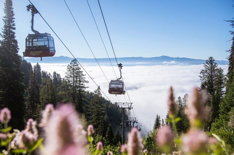 Jackson Hole: Aerial Tram and Gondolas Sightseeing - Hiking From the Tram Summit