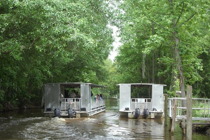 Jean Lafitte 90-Minute Swamp and Bayou Boat Tour - What the Scenery Is Really Like