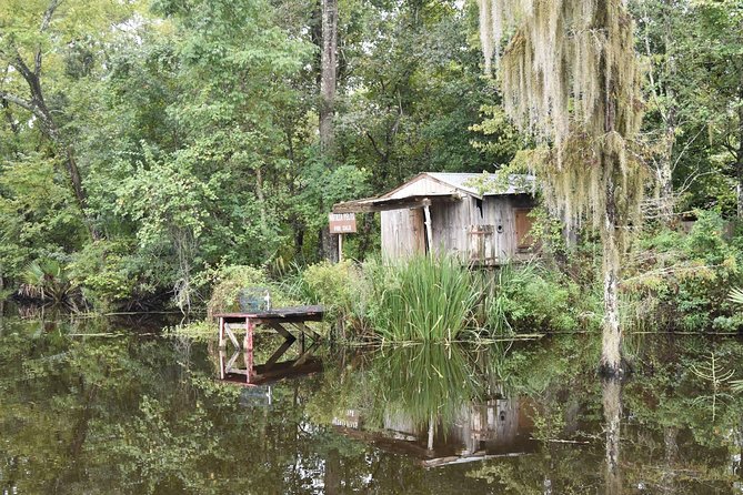 Jean Lafitte 90-Minute Swamp and Bayou Boat Tour - Weather, Clothing, and Practical Comfort