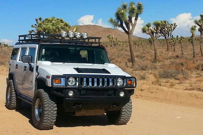 Joshua Tree National Park Scenic Tour - A half-day introduction from Palm Springs