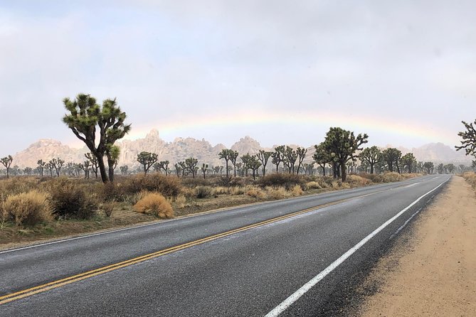 Joshua Tree National Park Scenic Tour - Barker Dam: petroglyphs, water, and cowboy history