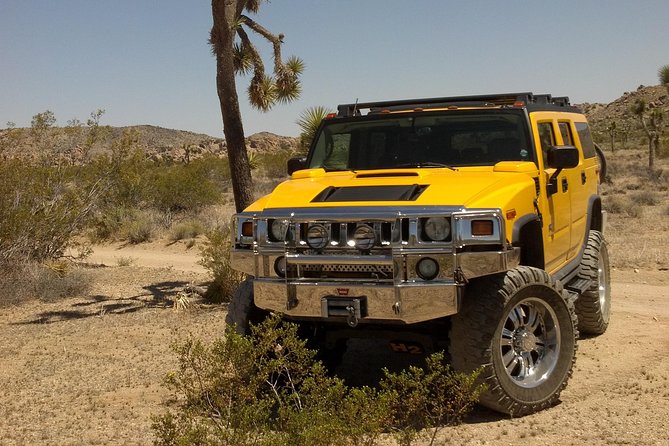 Joshua Tree National Park Scenic Tour - Keys View and the sudden high-desert chill