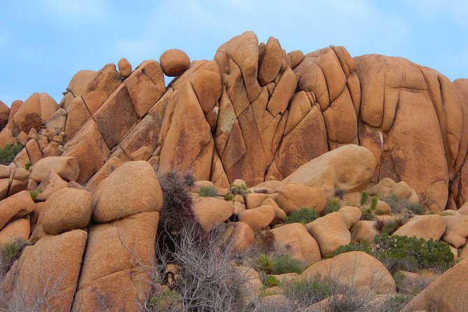 Joshua Tree National Park Scenic Tour - Why the geology makes the park more than a tree stop
