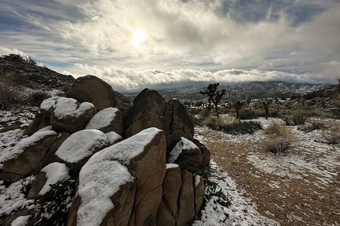Joshua Tree National Park Self-Guided Driving Audio Tour - Why an audio guide helps in Joshua Tree