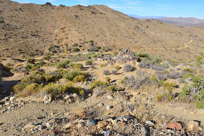 Joshua Tree National Park Self-Guided Driving Audio Tour - Hemingway Buttress and the Hidden Valley bonus