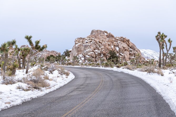Joshua Tree National Park Self-Guided Driving Audio Tour - Intersection Rock and Cap Rock