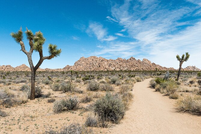 Joshua Tree National Park Self-Guided Driving Audio Tour - Oasis Visitor Center and the optional southern route