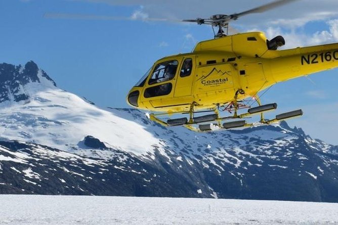 Juneau Shore Excursion: Helicopter Tour and Guided Icefield Walk - Is $440 a fair price?