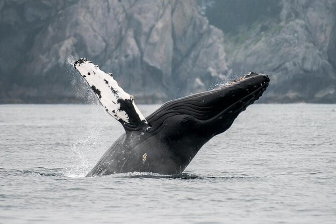Juneau Wildlife Whale Watching - Leaving Juneau’s cruise terminal for the harbor