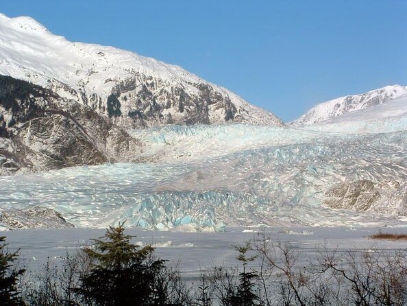 Juneau Wildlife Whale Watching & Mendenhall Glacier - Snacks, water, and small comfort details