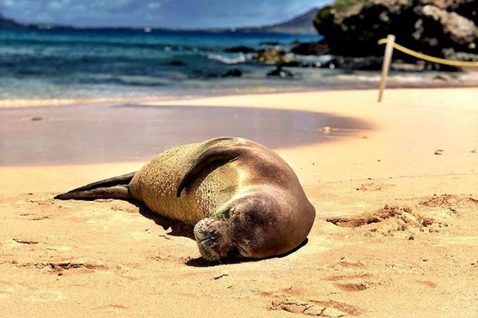 Kailua Bay, Oahu: Epic Kayak and Snorkel to Islands - Paddling along Lanikai Beach