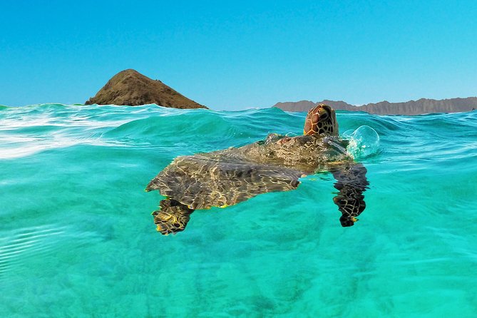 Kailua Bay, Oahu: Epic Kayak and Snorkel to Islands - Lunch, lockers, showers, and the useful extras