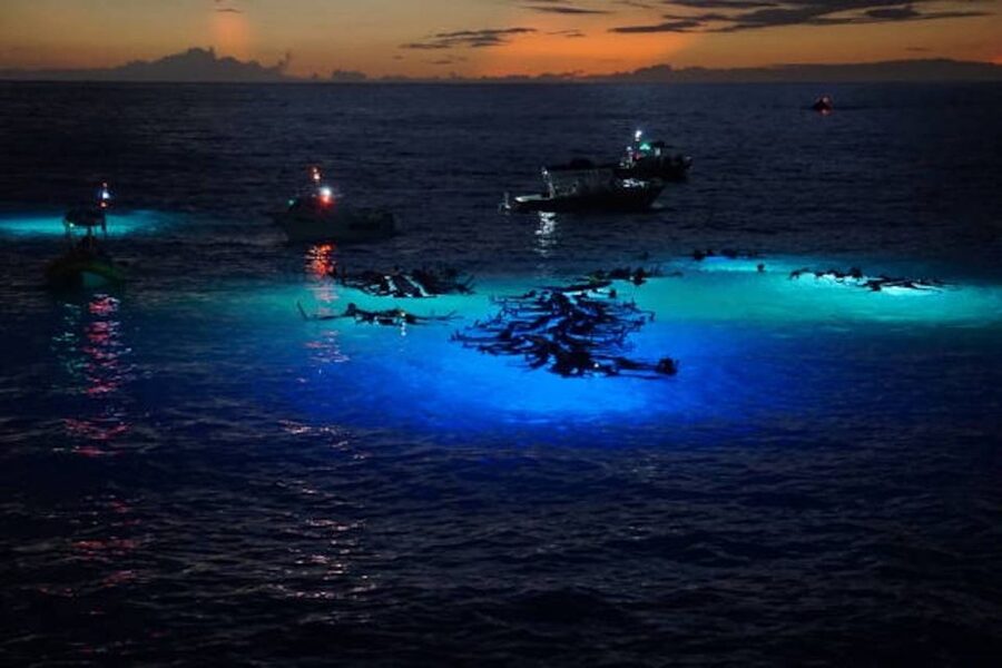 Kailua-Kona: Manta Ray Watching Nighttime Boat Trip - Why Kona’s manta encounter is so special