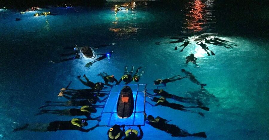 Kailua Kona: Night Manta Ray Adventure on the Big Island - Key details at a glance