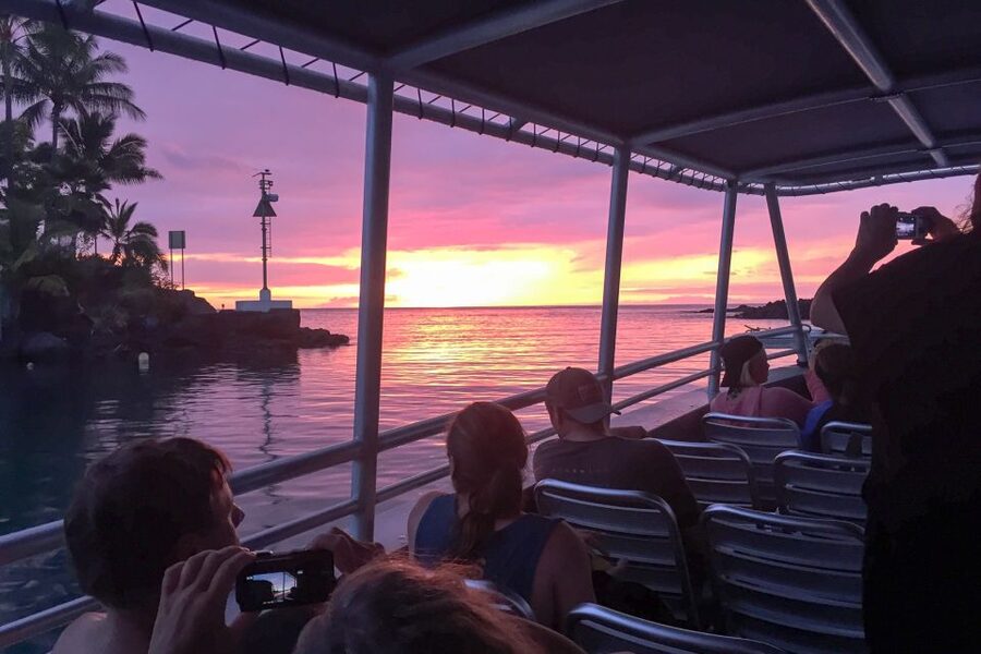 Kailua Kona: Night Manta Ray Adventure on the Big Island - What the manta encounter feels like