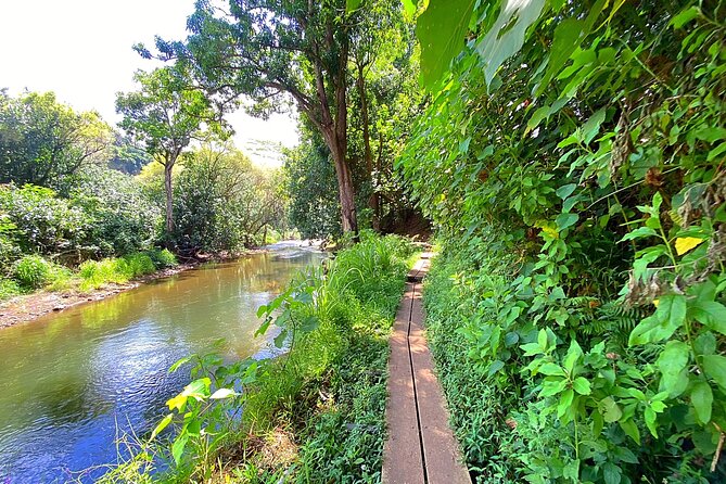 Kauai Adventure: Kayak & Hike to Secret Falls with Expert Guide - Uluwehi Falls, the 100-foot reward