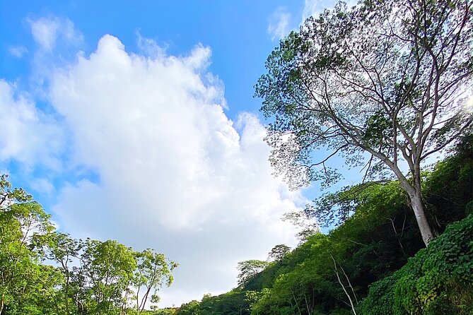 Kauai Adventure: Kayak & Hike to Secret Falls with Expert Guide - Returning by the same river route