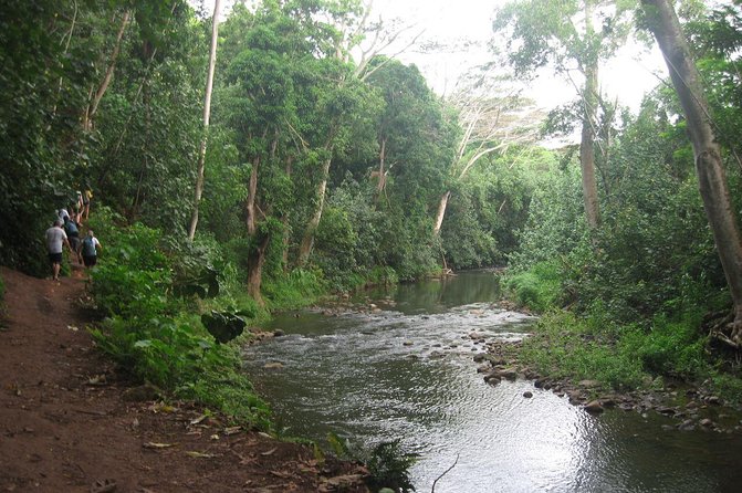 Kauai Adventure: Kayak & Hike to Secret Falls with Expert Guide - Paddling four miles through the Wailua River Valley
