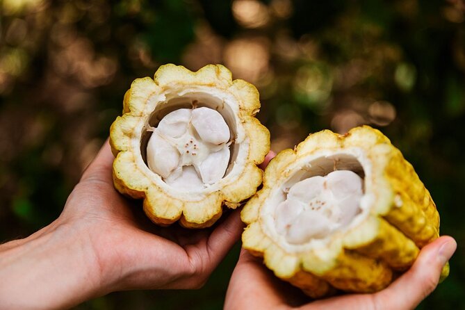Kauai Chocolate Farm Tasting Tour - How long the three-hour format feels