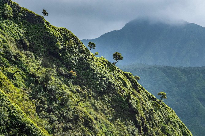 Kauai Eco Adventure Helicopter Tour - Mt. Waiʻaleʻale and the waterfalls of the interior
