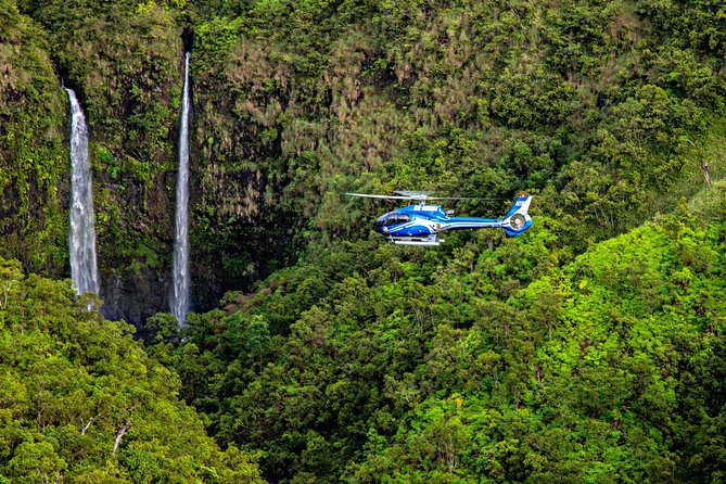 Kauai Eco Adventure Helicopter Tour - Lihue, Nawiliwili Harbor, and Kapaʻa from above