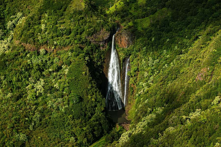 Kauai: Entire Kauai Air Tour with Window Seats - Why seeing Kauai by plane makes sense