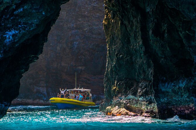 Kauai: Na Pali Coast Super Raft Snorkel Adventure - Dolphins, whales, and changing wildlife