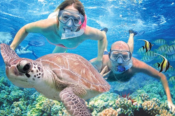 Kauai’s Ultimate Guided Shore Snorkel in South Poipu - Key points before you book