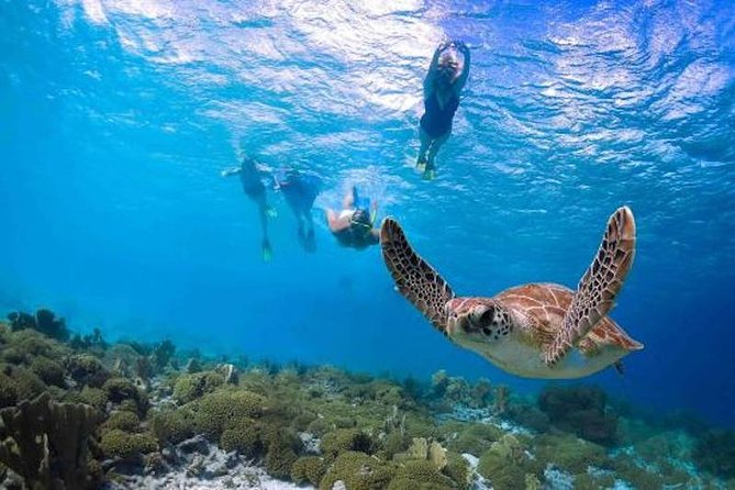 Kauai’s Ultimate Guided Shore Snorkel in South Poipu - Why this Poipu snorkel works so well