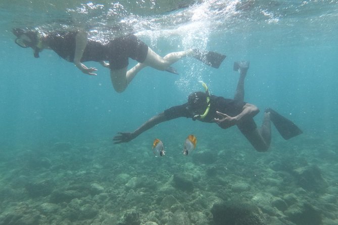 Kauai’s Ultimate Guided Shore Snorkel in South Poipu - Guides who make beginners feel at ease