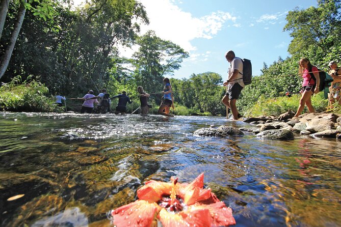 Kauai: Secret Falls Kayak and Hike - Paddling four miles along the Wailua River