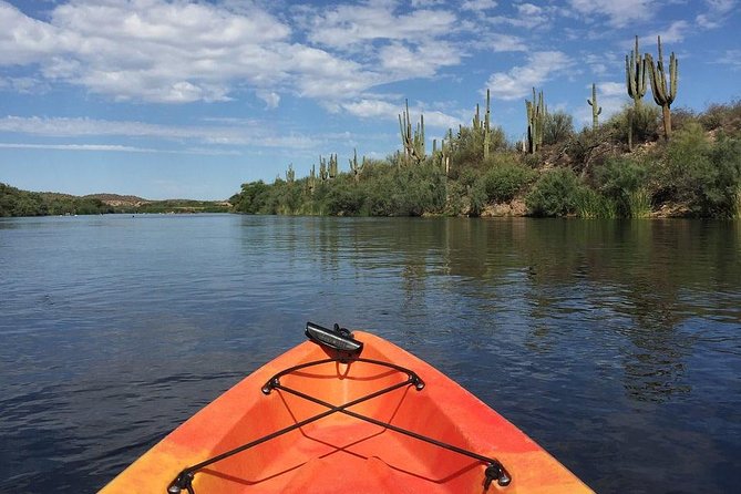 Kayaking the Salt River Foxtail Trip - Salt River Foxtail Trip at a Glance