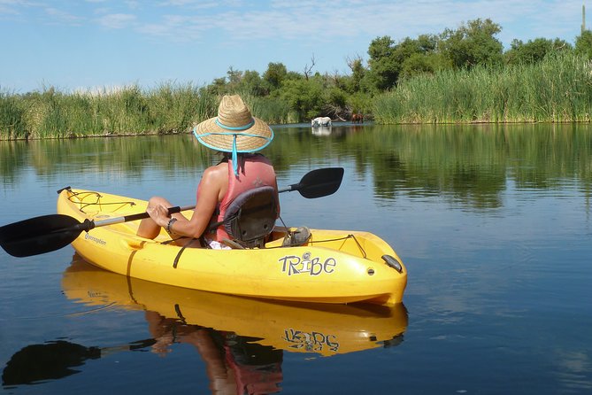 Kayaking the Salt River Foxtail Trip - A Desert River Trip Near Phoenix