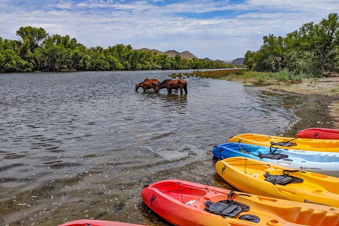 Kayaking the Salt River Foxtail Trip - Heat, Water, and What to Bring