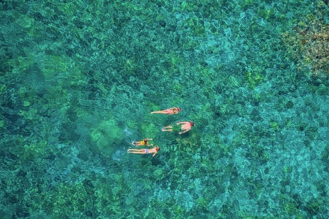 Kealakekua Bay Afternoon Snorkel: Family Fun on the Kona Coast - Slides, platform, and family appeal