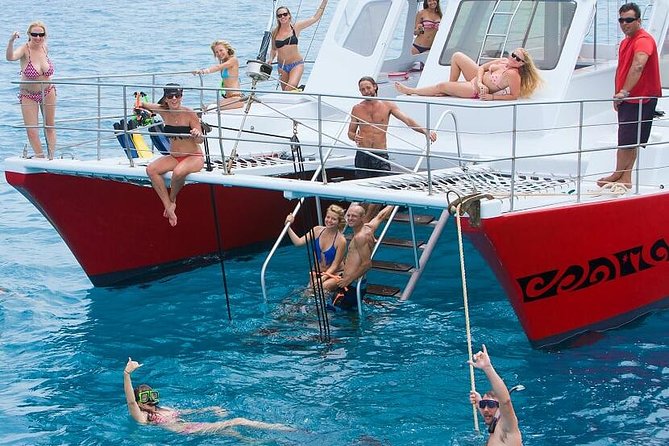 Kealakekua Bay (Captain Cook Monument) Snorkel and Sail Adventure - The 8:30 a.m. start and check-in routine