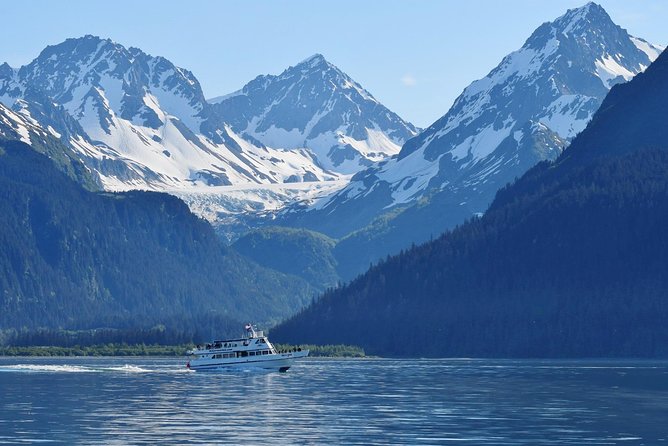 Kenai Fjords and Resurrection Bay Half-Day Wildlife Cruise - Cape Resurrection brings cliffs, birds, and sea lions