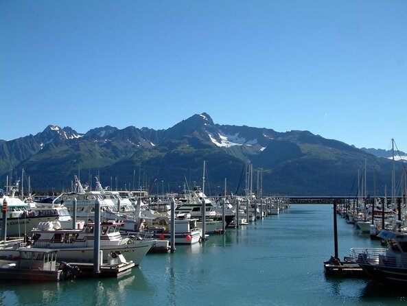 Kenai Fjords and Resurrection Bay Half-Day Wildlife Cruise - The wildlife depends on timing and weather