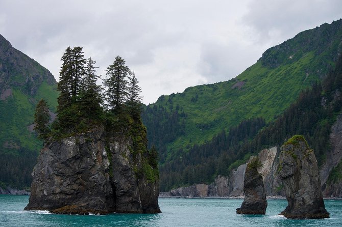 Kenai Fjords and Resurrection Bay Half-Day Wildlife Cruise - Resurrection Bay opens the show
