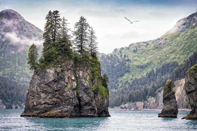 Kenai Fjords National Park Glacier & Wildlife Cruise - A simple lunch and a warm break
