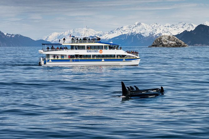 Kenai Fjords National Park Glacier & Wildlife Cruise - Comfort, crew, and the 150-person limit