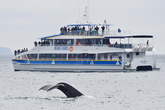 Kenai Fjords National Park Glacier & Wildlife Cruise - Resurrection Bay provides the opening act