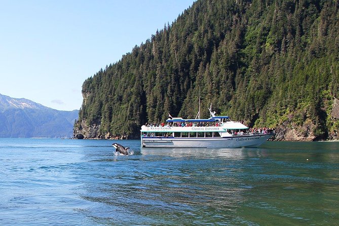 Kenai Fjords National Park Glacier & Wildlife Tour from Seward - Wildlife: exciting possibilities, no guarantees