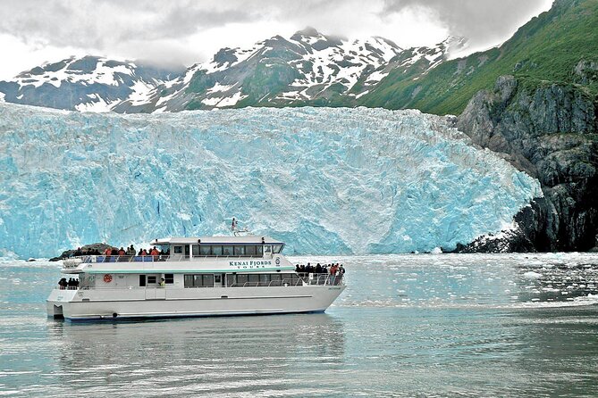 Kenai Fjords National Park Glacier & Wildlife Tour from Seward - Comfort, accessibility, and group size