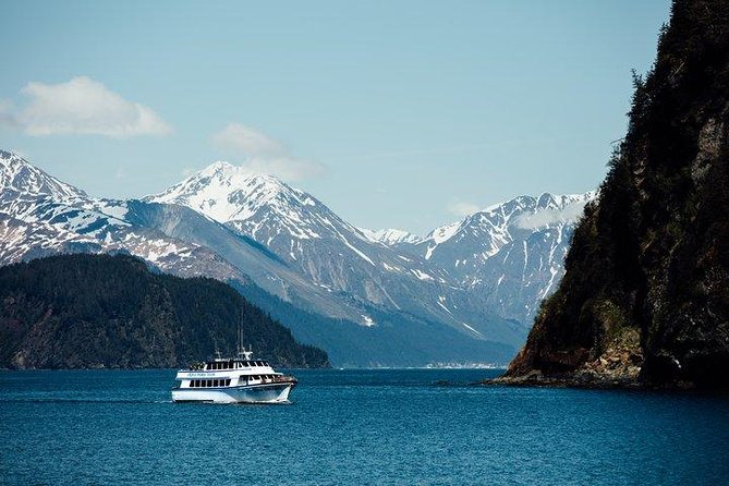 Kenai Fjords National Park Glacier & Wildlife Tour from Seward - The Alaska Maritime National Wildlife Refuge and its seabird cliffs