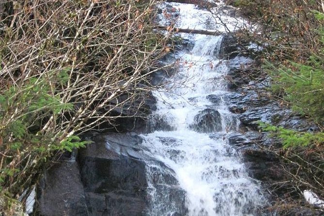 Ketchikan All In One - The unnamed waterfall photo stop
