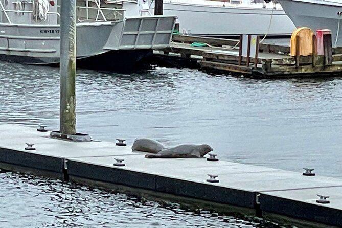 Ketchikan Duck Tour - Boarding, seating, and comfort