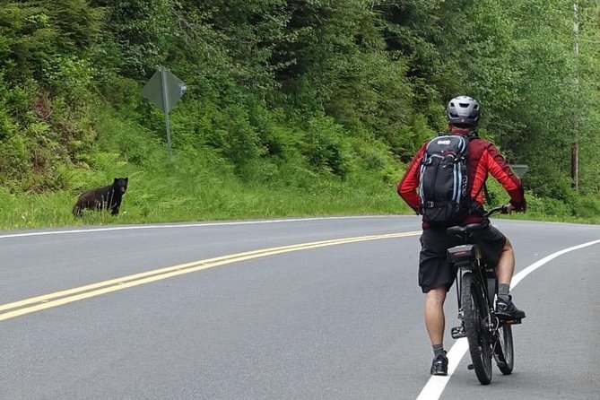 Ketchikan Electric Bike and Rain Forest Hike Ecotour - Why this tour works well in Ketchikan