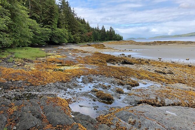 Ketchikan Electric Bike and Rain Forest Hike Ecotour - Waterfalls, salmon, and the beach walk