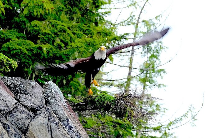 Ketchikan Electric Bike and Rain Forest Hike Ecotour - Booking and cancellation details